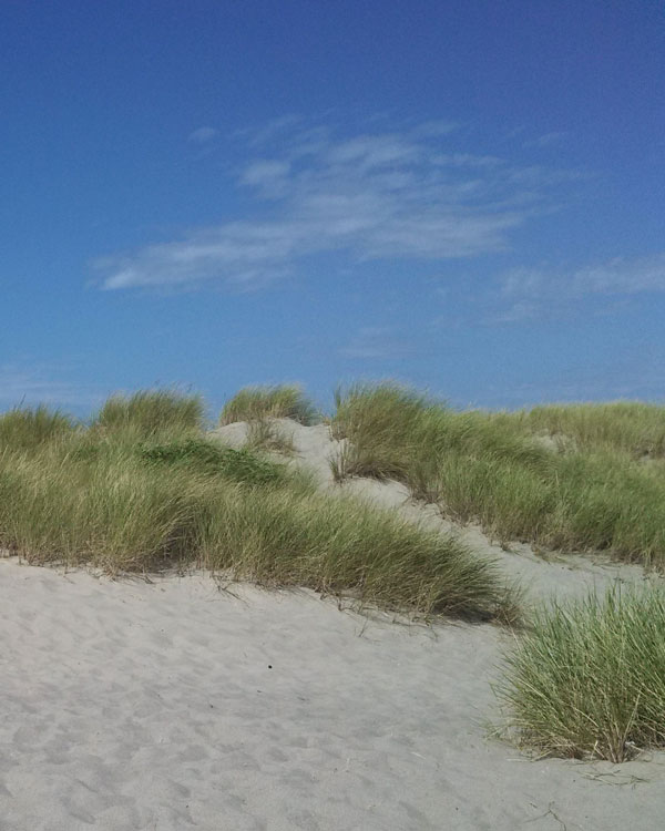 Life is either a daring adventure or nothing. Helen Keller