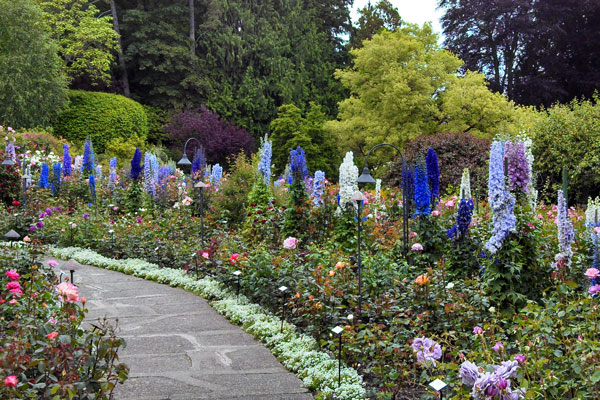 May you have the joy that’s due you, May the years be gracious to you, May a blue sky smile above you. Irish Blessing