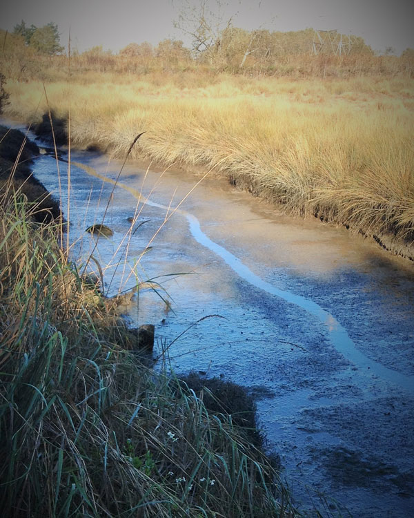 One does not become enlightened by imagining figures of light, but by making the darkness conscious. Carl G. Jung