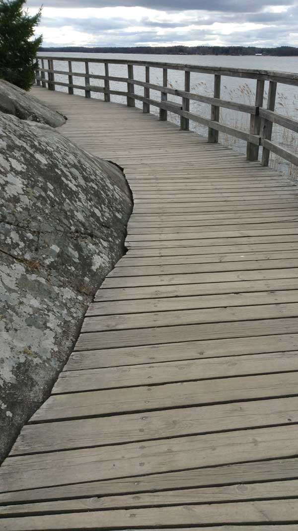 In every conceivable manner, the family is link to our past, bridge to our future. - Alex Haley