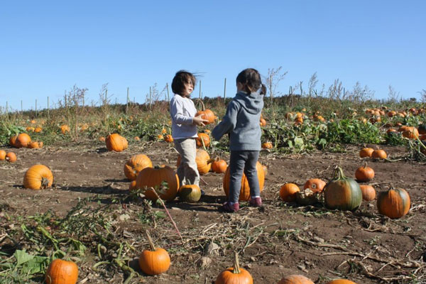 The soul is healed by being with children. - Fyodor Dostoevsky