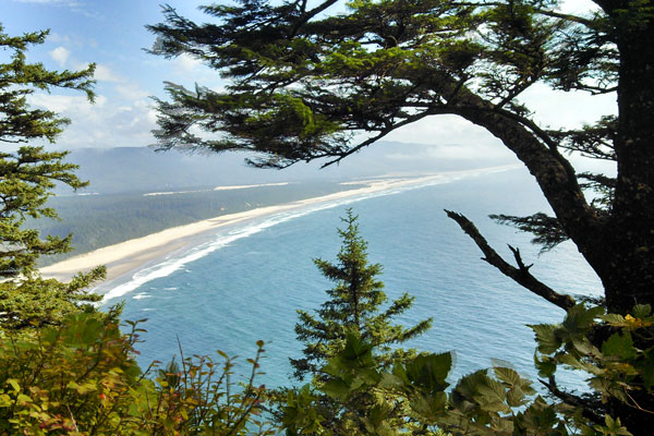 Who lives sees much, who travels sees more. - Arabian proverb