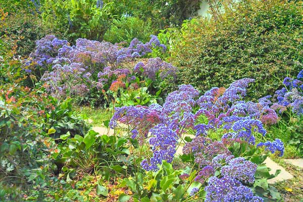 The meeting of two personalities is like the contact of two chemical substances: if there is any reaction, both are transformed. - Carl Jung