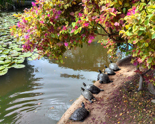 The only antidote to mental suffering is physical pain. - Karl Marx