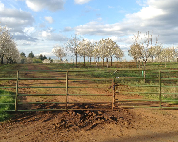 It is worse to stay where one does not belong at all than to wander about lost for a while and looking for the psychic and soulful kinship one requires. - Clarissa Pinkola Estés