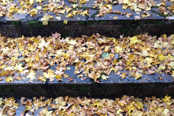 When it is obvious that the goals cannot be reached, don’t adjust the goals, adjust the action steps. - Confucius