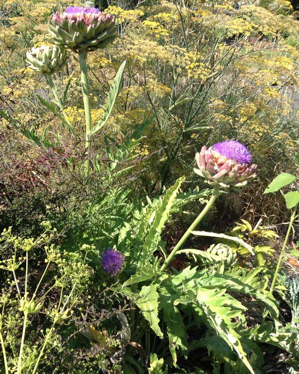 Sweet are the uses of adversity, Which, like the toad, ugly and venomous, Wears yet a precious jewel in his head; And this our life, exempt from public haunt, Finds tongues in trees, books in the running rooks, Sermons in stones, and good in everything. - William Shakespeare