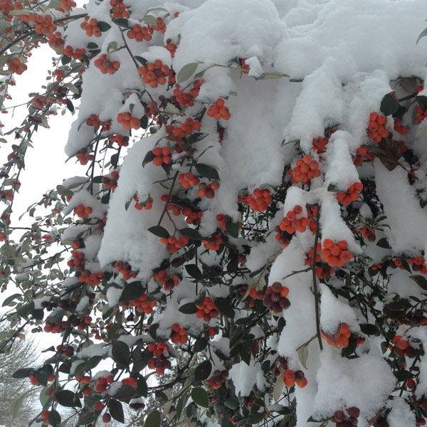 It’s a moment that I’m after, a fleeting moment, but not a frozen moment. - Andrew Wyeth