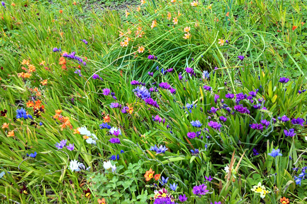 Our greatness lies not so much in being able to remake the world, as in being able to remake ourselves. - Mahatma Gandhi