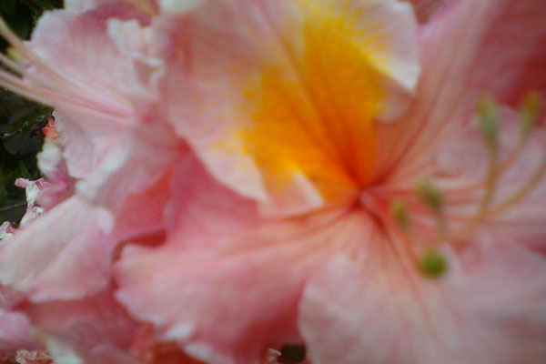 Reality leaves a lot to the imagination. - John Lennon