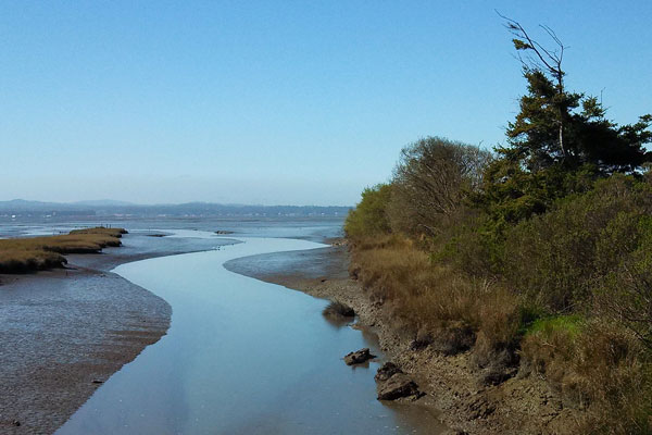 Feelings aroused by the touch of someone’s hand, the sound of music, the smell of a flower, a beautiful sunset, a work of art, love, laughter, hope and faith -- all work on both the unconscious and the conscious aspects of the self, and they have physiological consequences as well. - Dr. Bernie Siegel