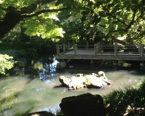 And I shall watch the ferry boats, and they'll get high, on a bluer ocean against tomorrow’s sky, and I will never grow so old again, and I will walk and talk, in gardens all wet with rain… - Van Morrison