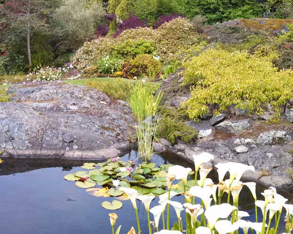 Functional medicine looks not at the disease - assumed to be isolated in a single organ system - but at the patient. - Dr. Jeffrey Bland, regarded as the father of functional medicine.