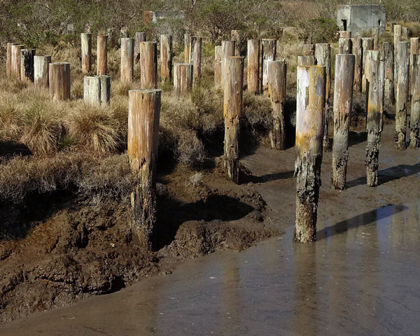 We first make our habits, and then our habits make us. - John Dryden