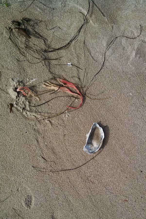 Forgive the Tears that fell for few, but that few too many, for was not each a World? - Emily Dickinson