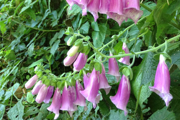 Get dressed, get blessed, try to be a success. - Bob Dylan