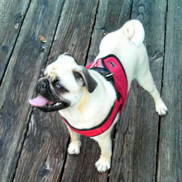 Taste life to the fullest. - Persephone Puganini