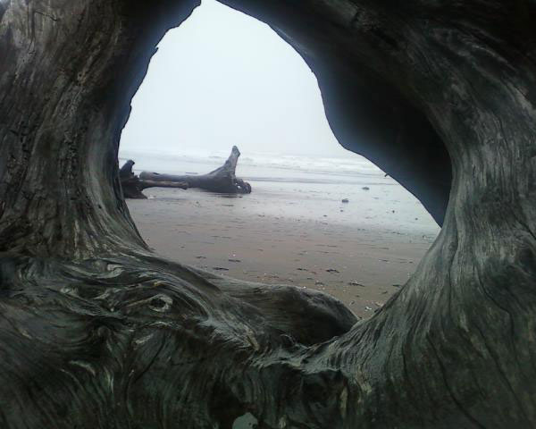 Perhaps we are here in order to say: house, bridge, fountain, gate, pitcher, fruit-tree, window...to say them more intensely than the things themselves ever dreamed. - Rainer Maria Rilke