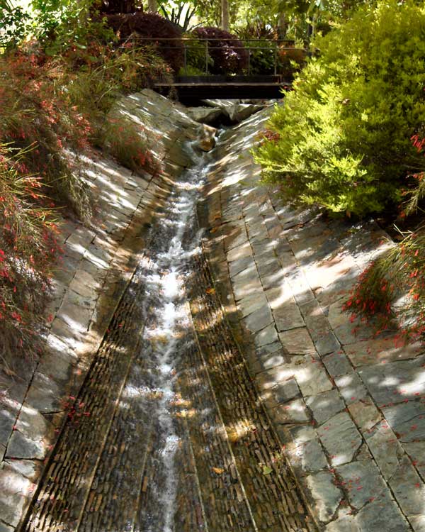 Our sorrows and wounds are healed only when we touch them with compassion. - Buddha