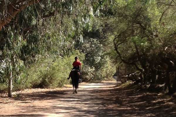 Is this a dream? O, if it be a dream, Let me sleep on, and do not wake me yet. - Henry Wadsworth Longfellow