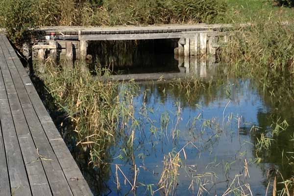 The history of mankind is the instant between two strides taken by a traveler. - Franz Kafka