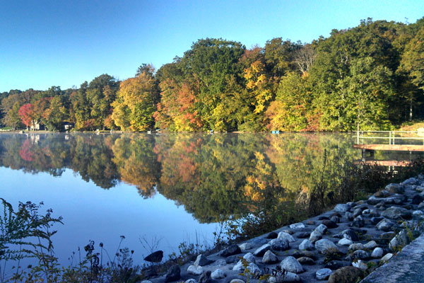 The beginning of love is to let those we love be perfectly themselves, and not to twist them to fit our own image. Otherwise we love only the reflection of ourselves we find in them. - Thomas Merton