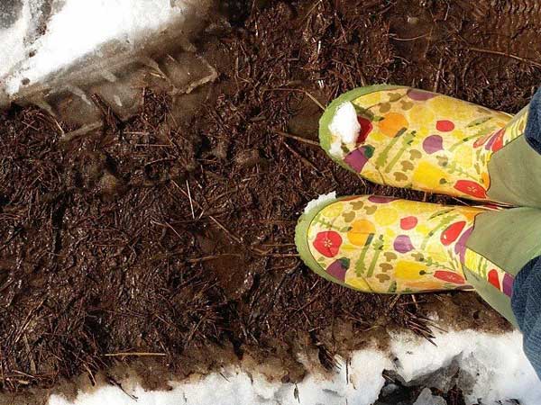 There are only small steps upward; an easier day, an unexpected laugh, a mirror that doesn’t matter anymore. - Laurie Halse Anderson