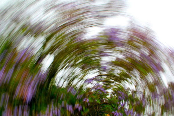 We are such stuff as dreams are made on. - William Shakespeare