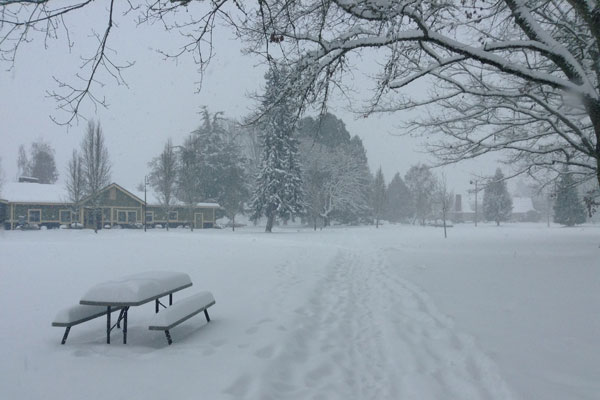 Love alone is not enough. Without imagination, love stales into sentiment, duty, boredom. Relationships fail not because we have stopped loving but because we first stopped imagining. - James Hillman