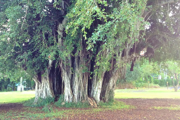 There is a path to end suffering. Find it and take it. - Buddhist Noble Truth