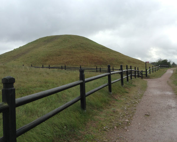 The need for change bulldozed a road down the center of my mind. - Maya Angelou