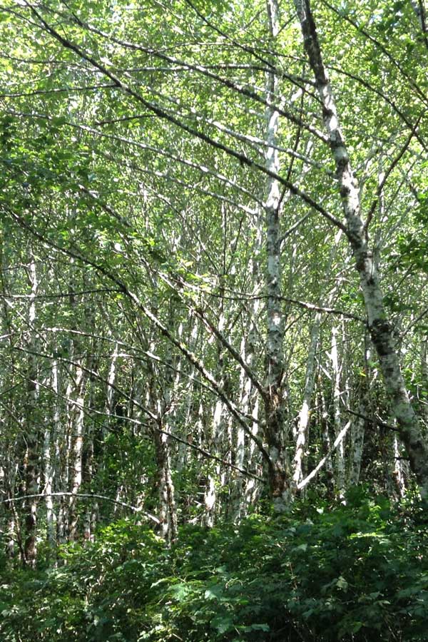 If you're studying for an exam you're not thinking about the results. If you're always worried about the results, you can't study a lot. So to be engaged and detached from the outcome is excellent. Excellence is behavior. I mean, isn't that what martial arts is about? And that's what meditation is about, that's what, in many ways, sports are about. - Deepak Chopra